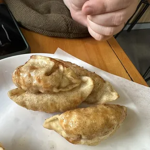 Deep Fried Dumplings