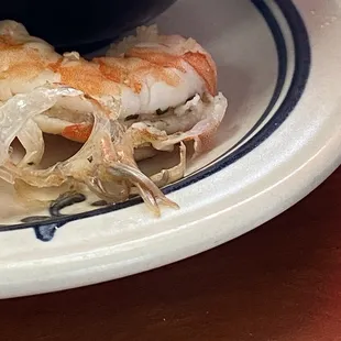Shrimp