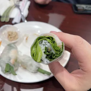 Spring Roll