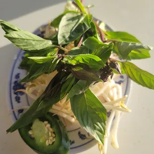 Pho veggie plate with vibrant green Thai basil under a bed of bean sprouts and twigs of coriander and lime