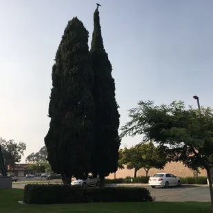 a parking lot with a clock tower in the background