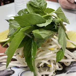 Super fresh basil, stouts and lime