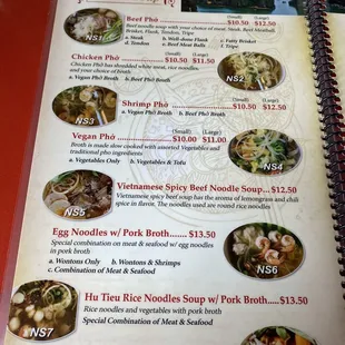 Pho &amp; other noodle soups