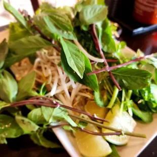 Mint and stuff for soup