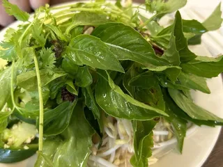 Sen Trang