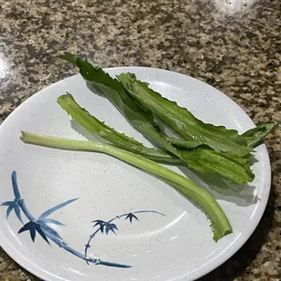 Culantro is available if you ask for your pho.