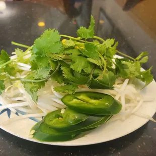 Pho Garnishment...