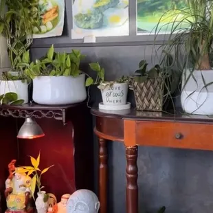 Not surprised to see what does not grow here.