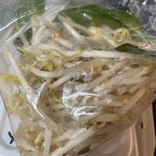 Rotten bean sprouts