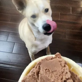 A L.