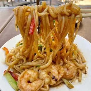 Shrimp Udon Noodles