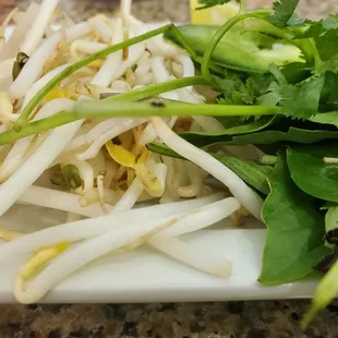 noodle dish, noodles, food, ramen, ramen and noodles, noodle soup