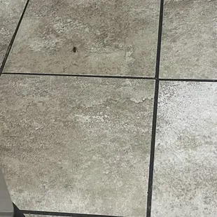 roaches in men's restroom