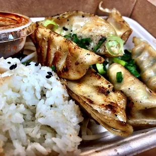 Chicken &amp; Vegetable Potstickers!