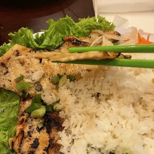 Chicken and rice, pretty upset with the chicken