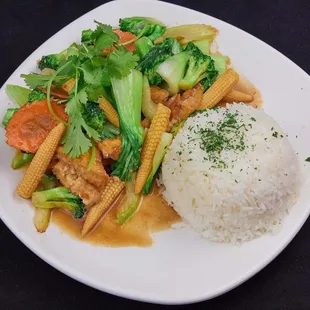 Vegetarian Option- Fried tofu stir fired with mixture of fresh vegetables, served with Jasmine Rice