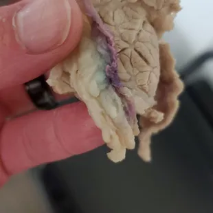 This is a piece of meat from their Pho we got to go.