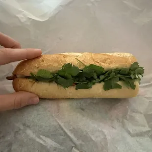 Smallest bahn mi I've ever seen. Size of a hot dog. Extremely over priced.