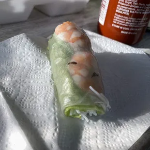 Bug in our spring roll
