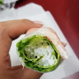 Spring roll close up