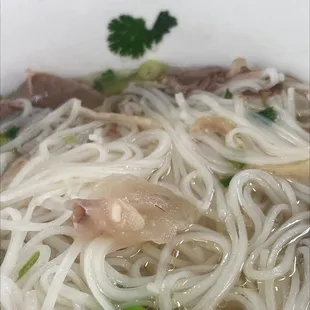 found some little friends waiting for us... if ur into furries this is the place to be!