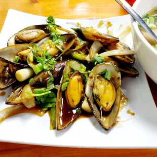 Mussels in a ginger sauce