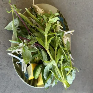 Herbs and sprouts