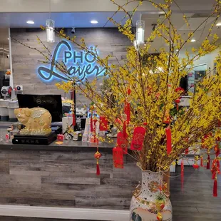 Happy Lunar New Year!