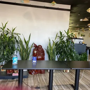 an office with a desk and plants