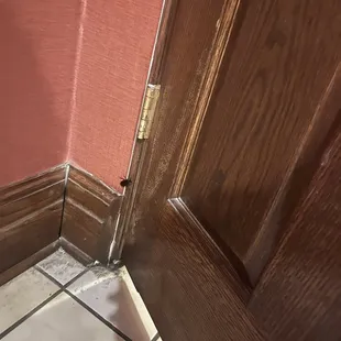 Roach in women's restroom