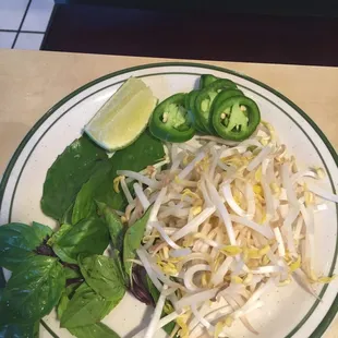 Pho Soup