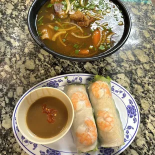 Beef Noodle Stew, Spring Rolls