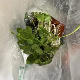 Pho add ins for 2