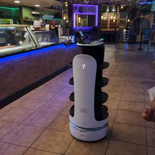 Cat Robot