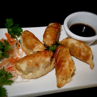 Fried Pork Dumplings