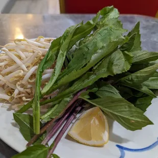 Fresh veggies for pho