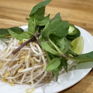 Fresh veggies for the pho