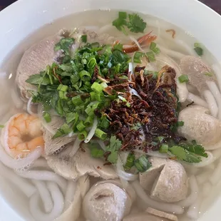 Vietnamese Udon