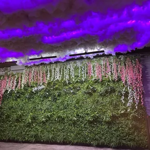 Inside photo backdrop