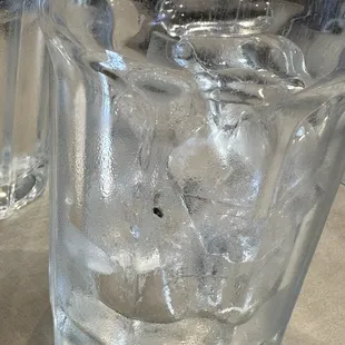 Roach in glass