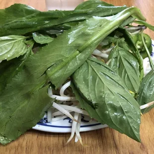 Culantro, basil, and beansprouts for pho