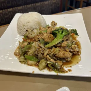 Chicken and vegetable stir fry with rice.