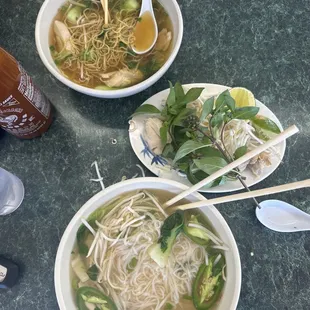 Pho ga with chicken, rice noodles and egg noodles