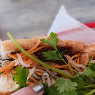 Beef Banh mi