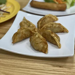 A4. Fried Dumpling  They were DELICIOUS. Everything was freshly made.