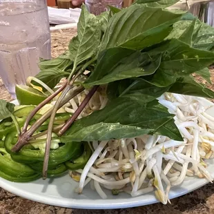 Fresh sprouts &amp; basil
