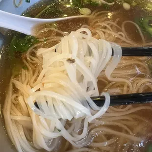 Noodle Soup