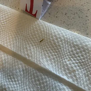 A maggot in my soup
