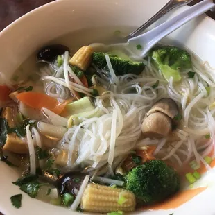 Vegetable Noodle Soup