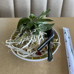 Basil, lime, sprouts, and jalapeños for soup. They really bring you a lot!